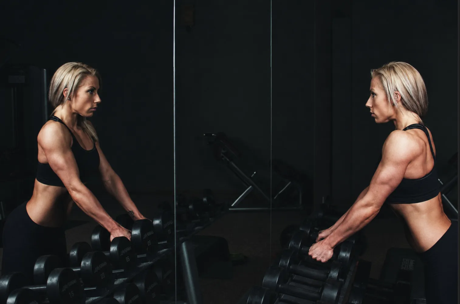 How to Choose a Gym Equipment Vendor in Bali: What to Check Before You Invest